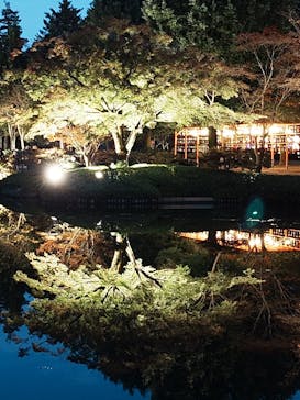 国営昭和記念公園 秋の夜散歩に投稿された画像（2024/11/22）