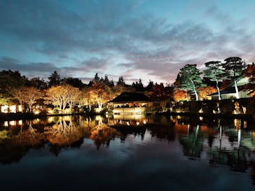 国営昭和記念公園 秋の夜散歩に投稿された画像（2024/11/22）