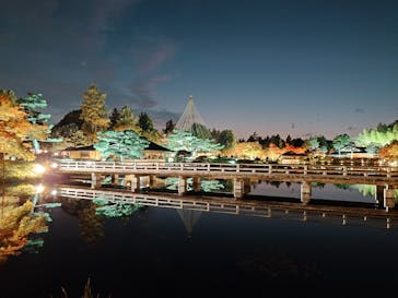 国営昭和記念公園 秋の夜散歩に投稿された画像（2024/11/22）