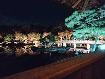 国営昭和記念公園 秋の夜散歩に投稿された画像（2024/11/22）