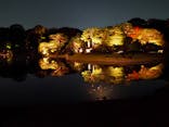 六義園に投稿された画像（2024/11/22）