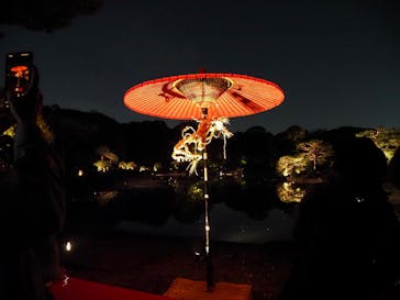 六義園に投稿された画像（2024/11/22）