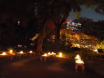 六義園に投稿された画像（2024/11/22）