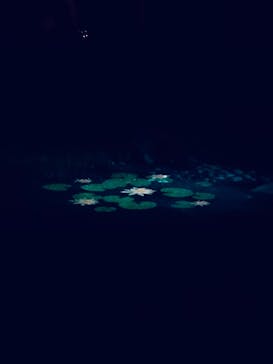 六義園に投稿された画像（2024/11/22）