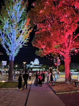 姫路城ライトアップイベント　鏡花水月　@姫路城三の丸広場に投稿された画像（2024/11/22）