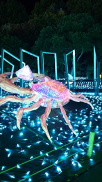 伊豆高原グランイルミに投稿された画像（2024/11/22）