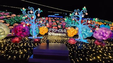 伊豆高原グランイルミに投稿された画像（2024/11/22）