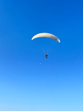 スカイエンジェルに投稿された画像（2024/11/22）