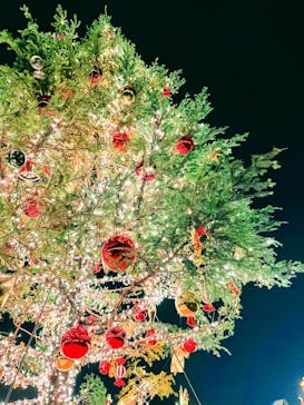 Christmas Market in 横浜赤レンガ倉庫 2025に投稿された画像（2024/11/22）