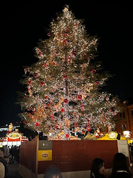 Christmas Market in 横浜赤レンガ倉庫 2025に投稿された画像（2024/11/22）