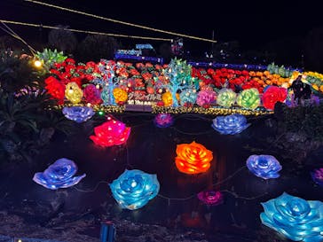 伊豆高原グランイルミに投稿された画像（2024/11/22）