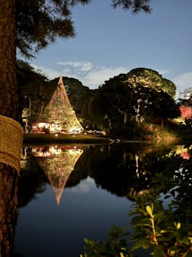 六義園に投稿された画像（2024/11/22）