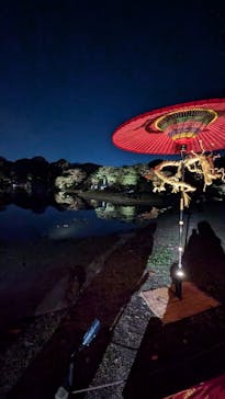 六義園に投稿された画像（2024/11/22）