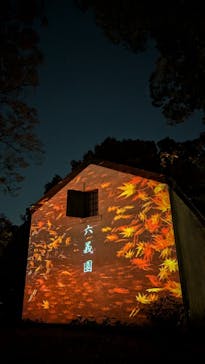 六義園に投稿された画像（2024/11/22）