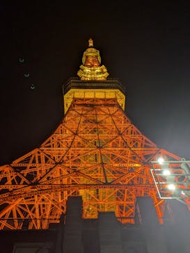東京タワーに投稿された画像（2024/11/22）