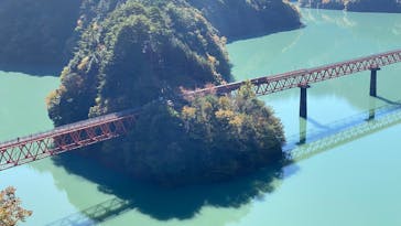 大井川鐵道株式会社に投稿された画像（2024/11/22）