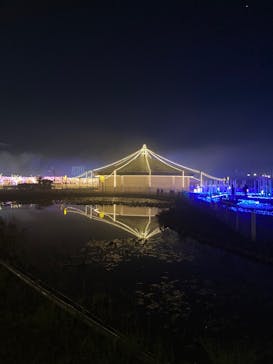 東京メガイルミに投稿された画像（2024/11/22）