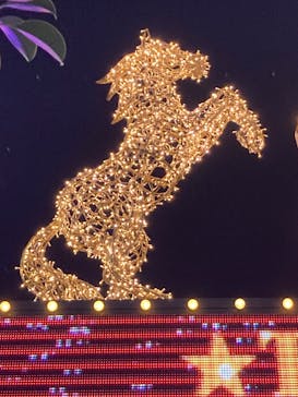 東京メガイルミに投稿された画像（2024/11/22）