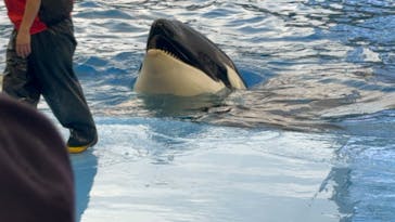 名古屋港水族館に投稿された画像（2024/11/22）