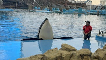 名古屋港水族館に投稿された画像（2024/11/22）