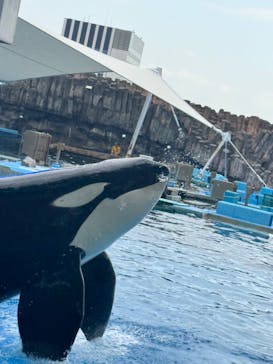 名古屋港水族館に投稿された画像（2024/11/22）