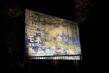 モネ 睡蓮のとき（国立西洋美術館）に投稿された画像（2024/11/22）