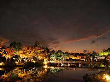 国営昭和記念公園 秋の夜散歩に投稿された画像（2024/11/22）