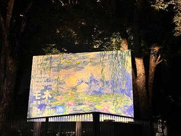 モネ 睡蓮のとき（国立西洋美術館）に投稿された画像（2024/11/22）