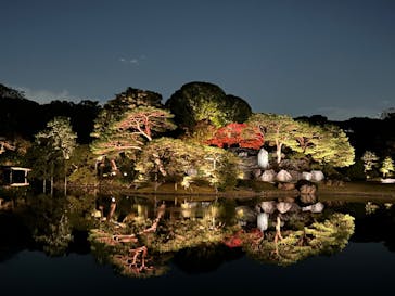 六義園に投稿された画像（2024/11/22）