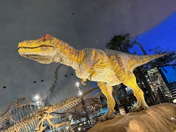福井県立恐竜博物館に投稿された画像（2024/11/22）