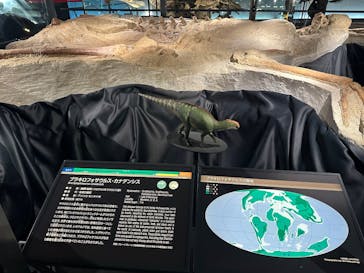 福井県立恐竜博物館に投稿された画像（2024/11/22）