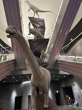 福井県立恐竜博物館に投稿された画像（2024/11/22）