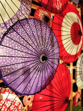 国営昭和記念公園 秋の夜散歩に投稿された画像（2024/11/22）