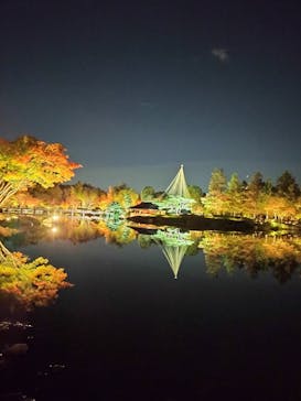 国営昭和記念公園 秋の夜散歩に投稿された画像（2024/11/22）