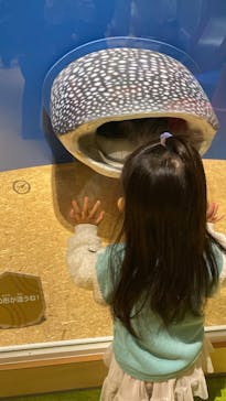 国立科学博物館に投稿された画像（2024/11/22）