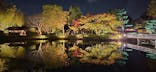 国営昭和記念公園 秋の夜散歩に投稿された画像（2024/11/23）