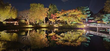国営昭和記念公園 秋の夜散歩に投稿された画像（2024/11/22）
