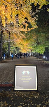 国営昭和記念公園 秋の夜散歩に投稿された画像（2024/11/22）