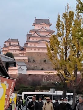 姫路城ライトアップイベント　鏡花水月　@姫路城三の丸広場に投稿された画像（2024/11/22）