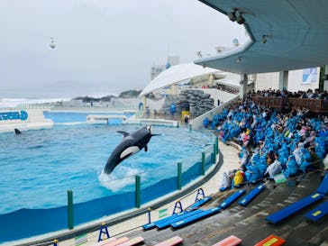 鴨川シーワールドに投稿された画像（2024/11/22）