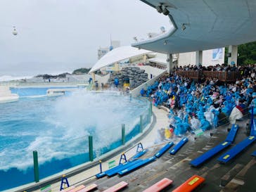 鴨川シーワールドに投稿された画像（2024/11/22）