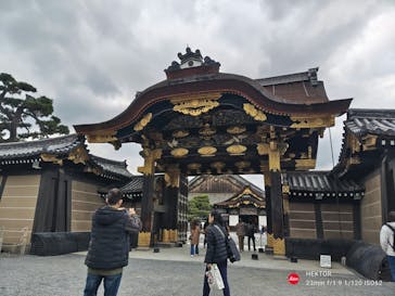 元離宮二条城に投稿された画像（2024/11/22）