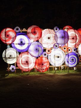 国営昭和記念公園 秋の夜散歩に投稿された画像（2024/11/22）