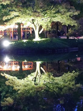 国営昭和記念公園 秋の夜散歩に投稿された画像（2024/11/22）