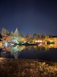 国営昭和記念公園 秋の夜散歩に投稿された画像（2024/11/23）