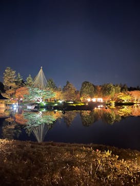 国営昭和記念公園 秋の夜散歩に投稿された画像（2024/11/22）