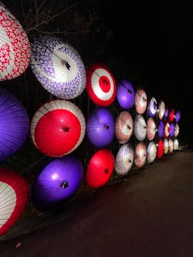 国営昭和記念公園 秋の夜散歩に投稿された画像（2024/11/22）