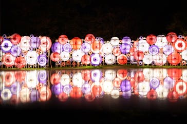 国営昭和記念公園 秋の夜散歩に投稿された画像（2024/11/23）
