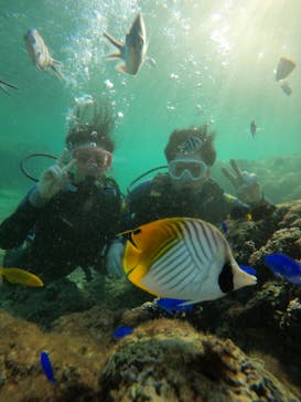 武藤潜水に投稿された画像（2024/11/23）