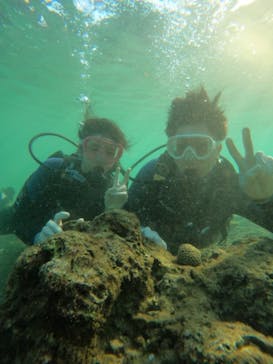 武藤潜水に投稿された画像（2024/11/23）